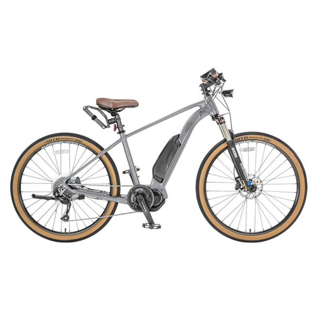 e-bike✨eVITA✨電動自転車　即日対応可能自転車本体