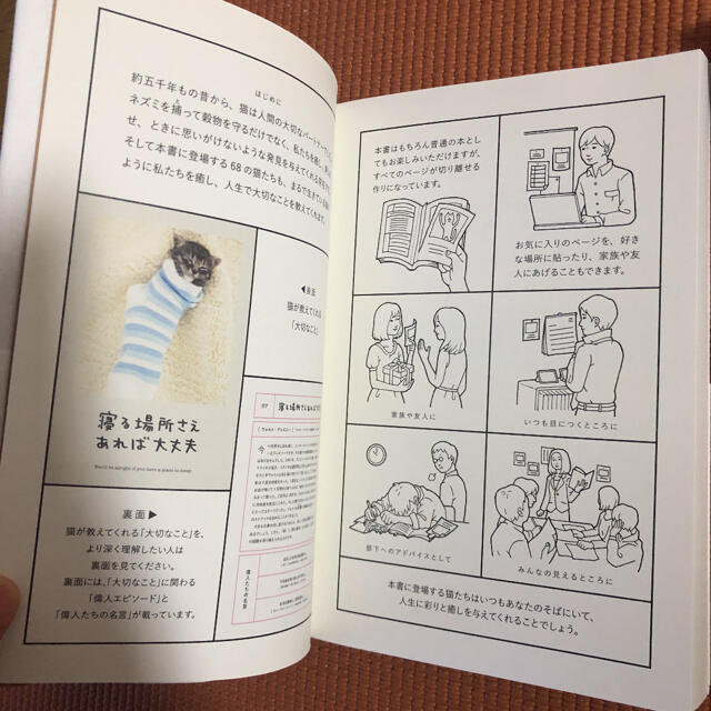 人生はニャンとかなる! 2冊セット　バラ売り不可 エンタメ/ホビーの本(ノンフィクション/教養)の商品写真