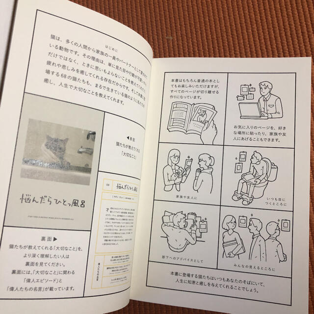 人生はニャンとかなる! 2冊セット　バラ売り不可 エンタメ/ホビーの本(ノンフィクション/教養)の商品写真