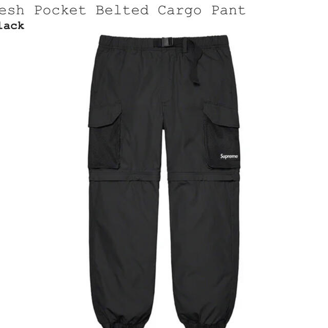 Supreme Mesh Pocket Belted Cargo Pant 都内で 50%割引 www.cecile-roger.com