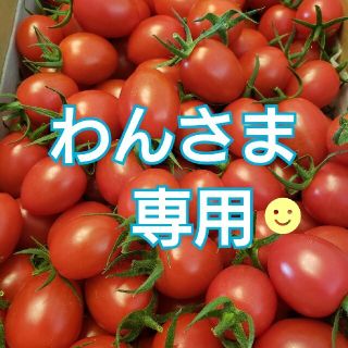 ５kg わんさま専用です☺️ 和歌山県産 ミニトマト アイコの通販 by き ...