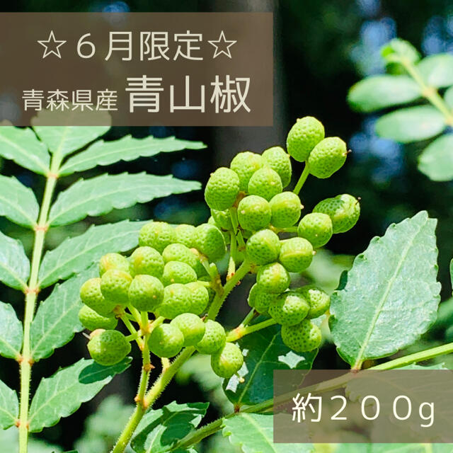 【期間限定】青山椒 約200g 無農薬 青森県産 2021年産 食品/飲料/酒の食品(野菜)の商品写真