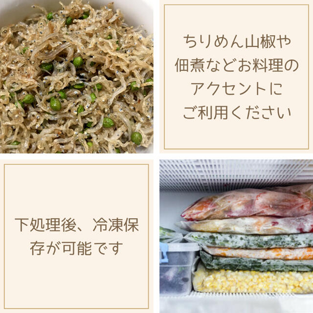 【期間限定】青山椒 約200g 無農薬 青森県産 2021年産 食品/飲料/酒の食品(野菜)の商品写真