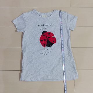 ザラキッズ(ZARA KIDS)のZara Kids　134㎝　半袖　Tシャツ(Tシャツ/カットソー)