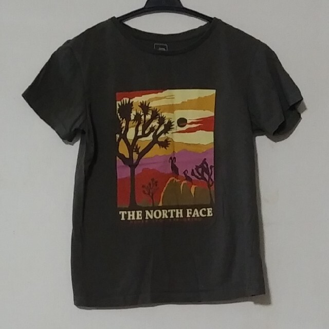 THE NORTH FACE(ザノースフェイス)のThe North Face 150 Tシャツ キッズ/ベビー/マタニティのキッズ服男の子用(90cm~)(Tシャツ/カットソー)の商品写真