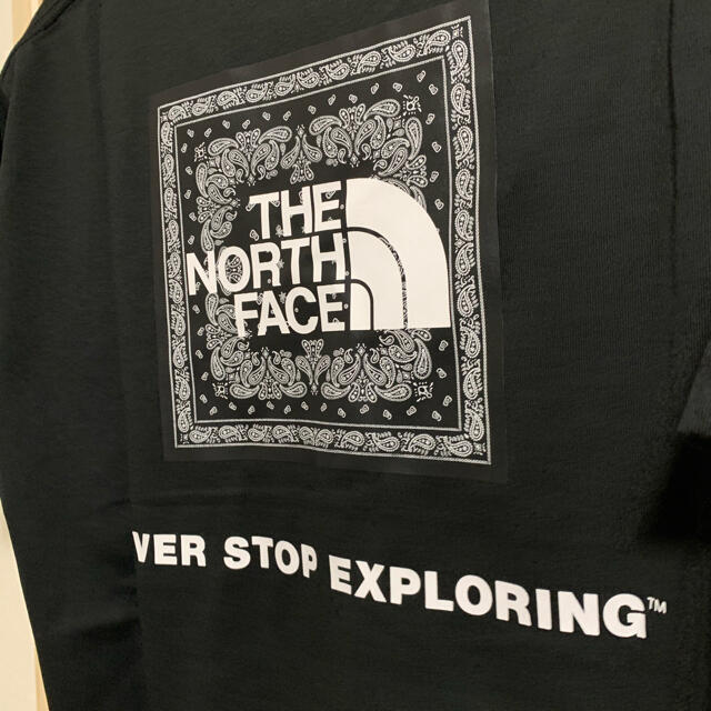 THE NORTH FACE(ザノースフェイス)のノースフェイス　tシャツ　新品未使用 メンズのトップス(Tシャツ/カットソー(半袖/袖なし))の商品写真