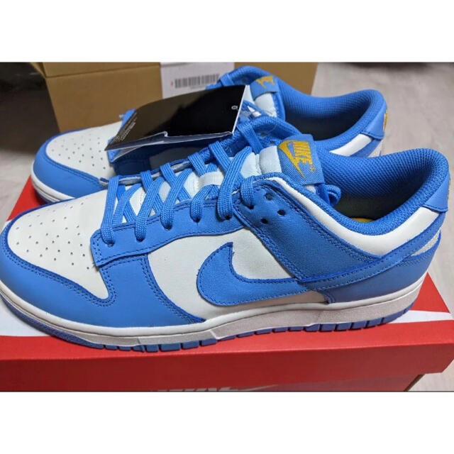 新品　dunk low coast 26