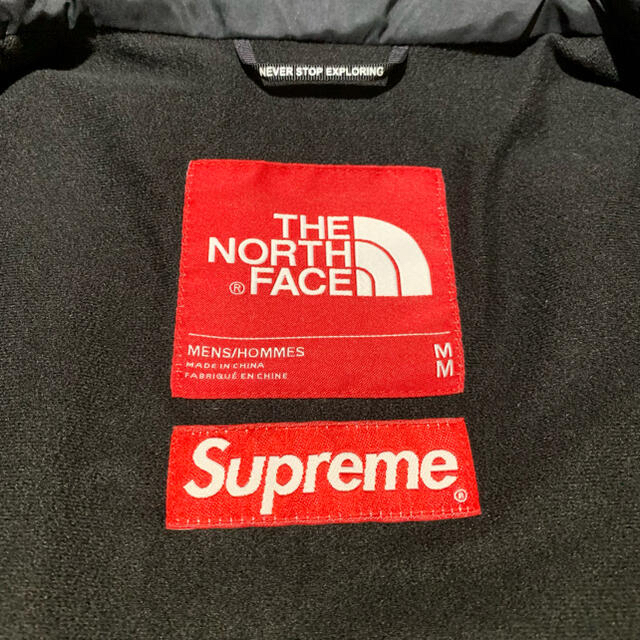 Supreme(シュプリーム)のsupreme the north face 16aw マウンテンパーカー 枯葉 メンズのジャケット/アウター(マウンテンパーカー)の商品写真
