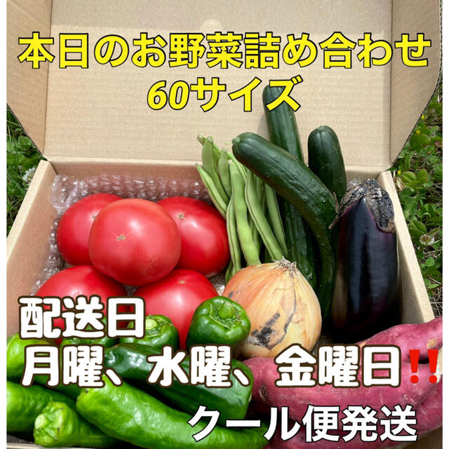 【産地直送‼️採れたて野菜をお届け❗️】 食品/飲料/酒の食品(野菜)の商品写真