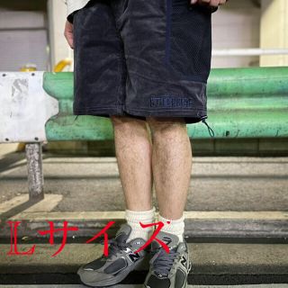 ザノースフェイス(THE NORTH FACE)のthe apartment STABRIDGE × GRIP SWANYショーツ(ショートパンツ)