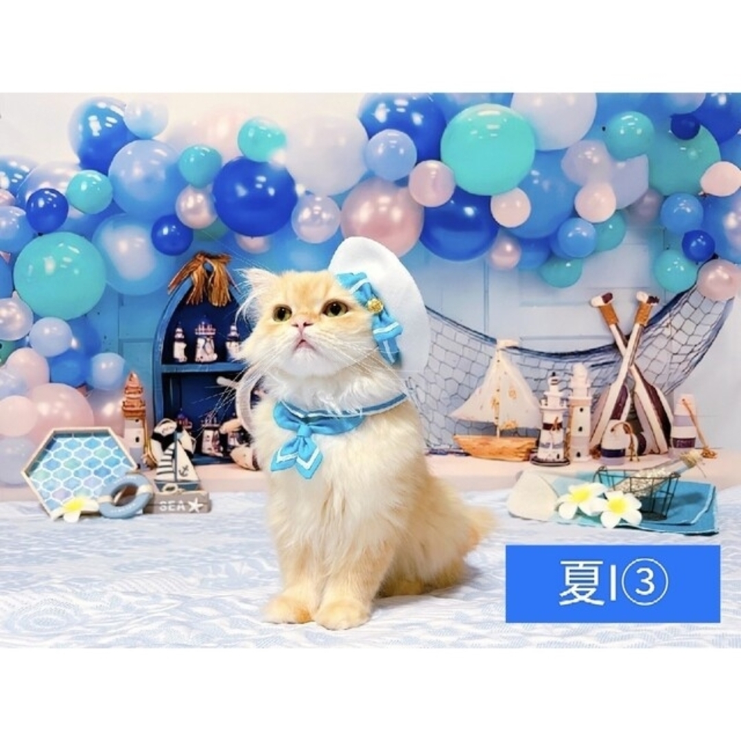 背景布【夏L】 ペット、ドール、ニューボーンフォト撮影用 背景布【夏L】 ペット、ドール、ニューボーンフォト撮影用