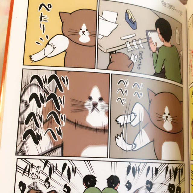 ネットで話題、鴻池剛と猫のぽんた、漫画 エンタメ/ホビーの漫画(その他)の商品写真