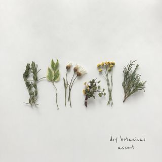 dry botanical /  ドライフラワー 花材  ミモザ  ハンドメイド(ドライフラワー)