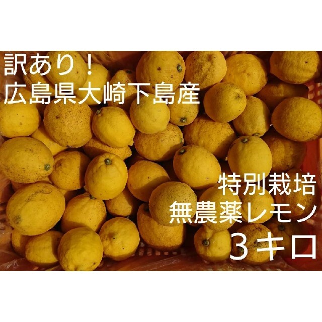 無農薬！広島県大崎下島産 特別栽培レモン 3キロ