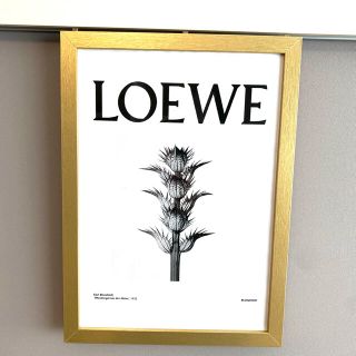 ロエベ スターの通販 68点 Loeweを買うならラクマ ロエベ スターの通販 68点 Loeweを買うならラクマ