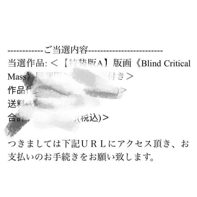 松山智一　版画《Blind Critical Mass》同梱版＞額装付き エンタメ/ホビーの美術品/アンティーク(版画)の商品写真