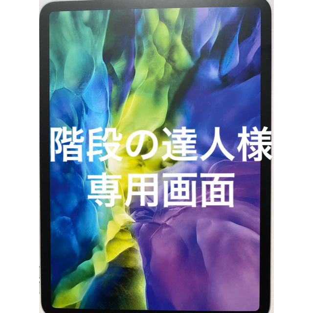 iPad Pro １１inch(第2世代)256GB