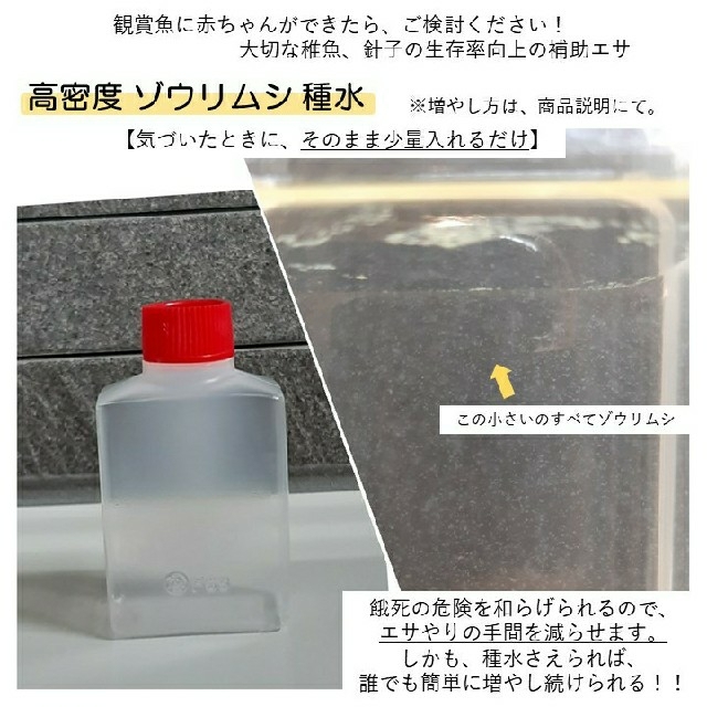 ゾウリムシ 良質な高密度の種水 の通販 By 水草 Shop ラクマ ゾウリムシ 良質な高密度の種水 の通販 By 水草 Shop ラクマ