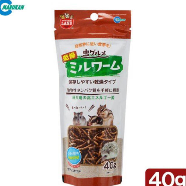 ⑤ハムスター　おやつ　おためし　ジャンガリアン　ゴールデン その他のペット用品(小動物)の商品写真