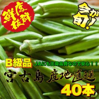 訳あり 宮古島産 オクラ 40本(野菜)