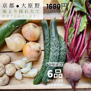 新鮮野菜セット！京都の山のふもとよりお届け！(野菜)