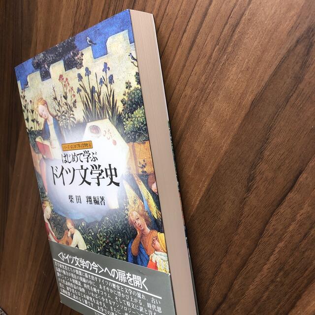 はじめて学ぶドイツ文学史 エンタメ/ホビーの本(文学/小説)の商品写真