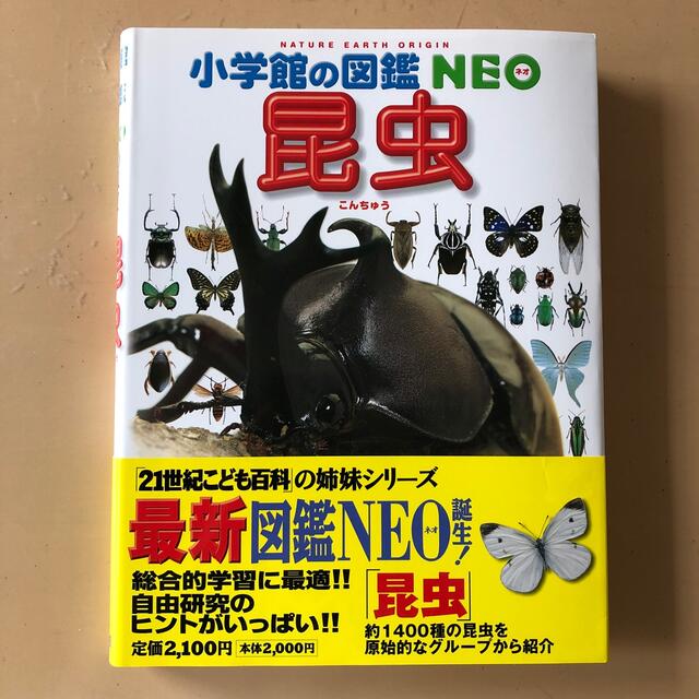 小学館(ショウガクカン)の小学館の図鑑NEO 6点セット(魚、鳥、昆虫、植物、動物、恐竜) エンタメ/ホビーの本(絵本/児童書)の商品写真