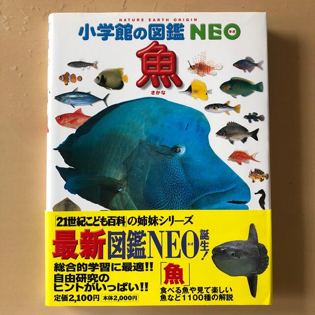 小学館(ショウガクカン)の小学館の図鑑NEO 6点セット(魚、鳥、昆虫、植物、動物、恐竜) エンタメ/ホビーの本(絵本/児童書)の商品写真