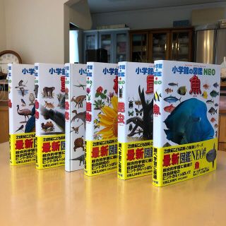 ショウガクカン(小学館)の小学館の図鑑NEO 6点セット(魚、鳥、昆虫、植物、動物、恐竜)(絵本/児童書)