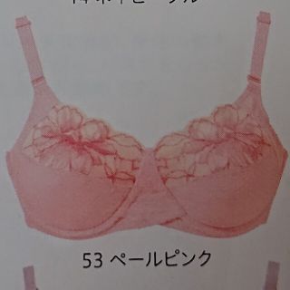 シャルレ(シャルレ)のシャルレ美意識ブラジャー F75(ブラ)