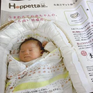 中古 キャリーバスケットの通販 0点以上 キッズ ベビー マタニティ お得な新品 中古 未使用品のフリマならラクマ 中古 キャリーバスケットの通販 0点以上 キッズ ベビー マタニティ お得な新品 中古 未使用品のフリマならラクマ