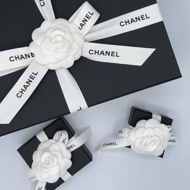 新作 シャネル 鳥かごブローチ CHANEL | 150.illinois.edu 新作 シャネル 鳥かごブローチ CHANEL | 150.illinois.edu