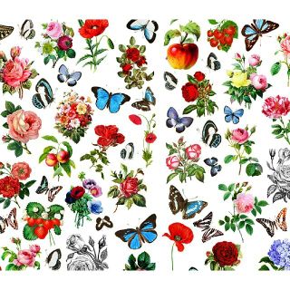 ミニサイズ ヴィクトリア朝 動植物画シール(各種パーツ)