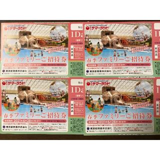 4枚 東京サマーランド株主優待券 春季ファミリーご招待券 東京都競馬(プール)