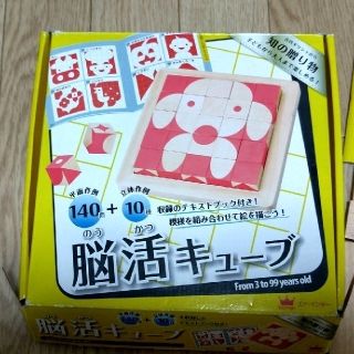 脳活キューブ＆賢人パズル(知育玩具)