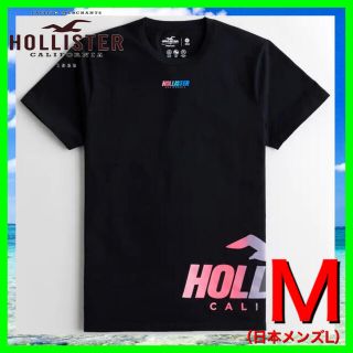 ホリスター(Hollister)のホリスター  HOLLISTER  Tシャツ  M 新品 正規品 ロゴ34(Tシャツ/カットソー(半袖/袖なし))