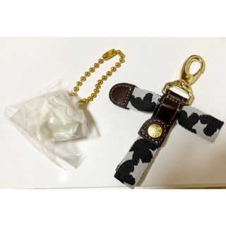 カナナプロジェクト(Kanana project)の【未使用】カナナプロジェクト　ファーチャームとキーホルダーの２つセット (キーホルダー)