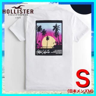 ホリスター(Hollister)のホリスター  HOLLISTER  Tシャツ  S 新品 正規品　UV ロゴ36(Tシャツ/カットソー(半袖/袖なし))