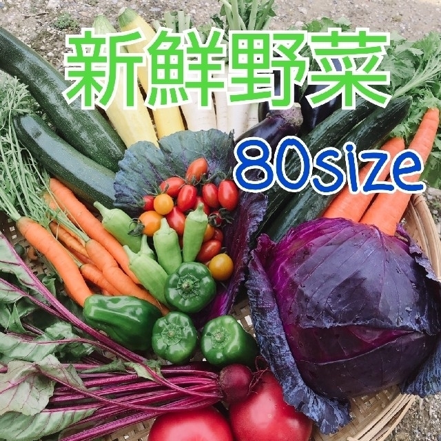 新鮮野菜【畑〜直送便80sizeでお届け致します】農薬不使用 食品/飲料/酒の食品(野菜)の商品写真