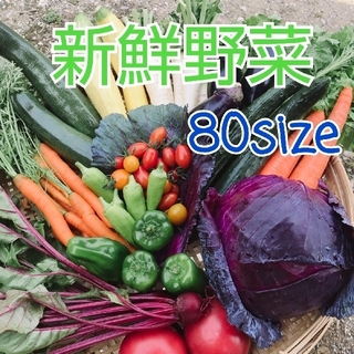 新鮮野菜【畑〜直送便80sizeでお届け致します】農薬不使用(野菜)
