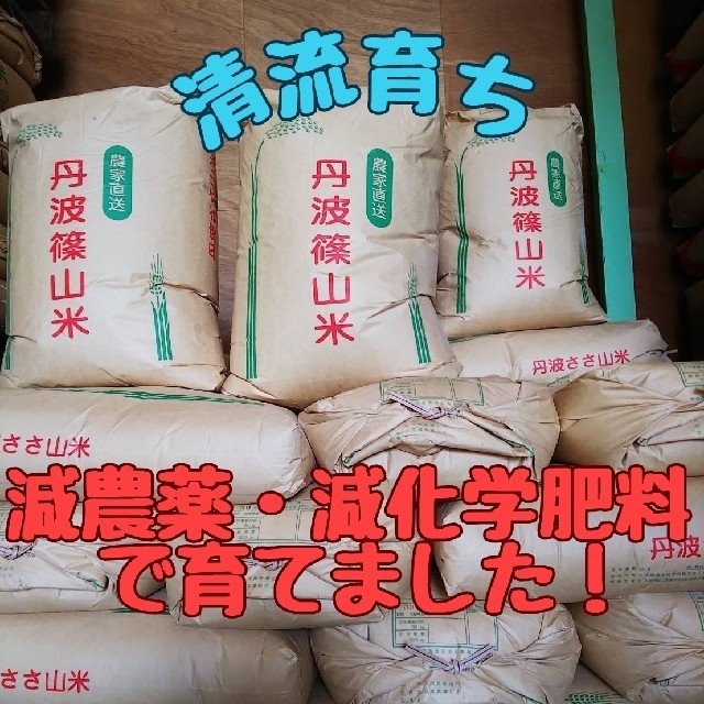 米/穀物　兵庫県丹波篠山米　販促用品　玄米30kg(減農薬,減化学肥料栽培)　清流育ち　LITTLEHEROESDENTISTRY