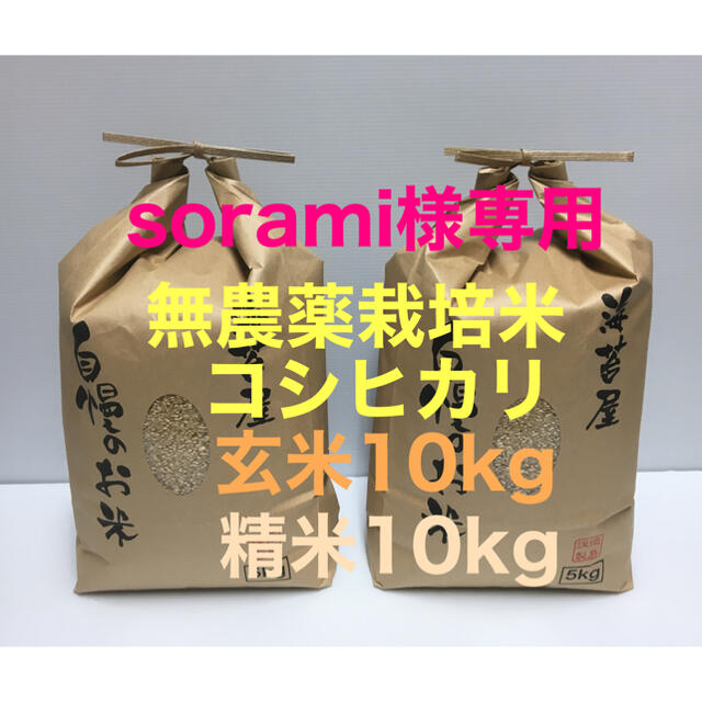 sorami様専用 無農薬コシヒカリ玄米10kg、精米10kg、焼き海苔 40枚 食品/飲料/酒の食品(米/穀物)の商品写真