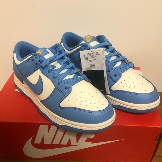 スニーカー新品未使用　dunk low coast 25cm