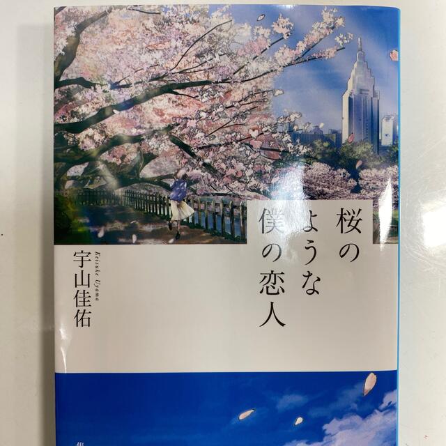 集英社(シュウエイシャ)の桜のような僕の恋人 エンタメ/ホビーの本(文学/小説)の商品写真