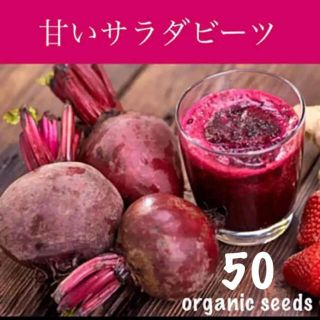 大人気！◆甘い♡サラダビーツ◆育てやすい健康野菜【オーガニック種子　50粒】(その他)