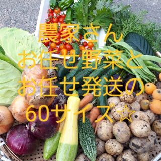 お野菜詰め合わせ60サイズお楽しみセット☆(野菜)