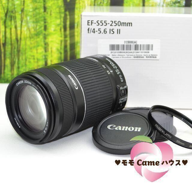 日本初売Canon - キャノン望遠レンズ☆EF-S 55-250mm手ブレ補正つき