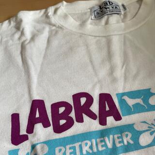 ラブラドールリトリーバー(Labrador Retriever)のラブラドールレトリバー　Tシャツ(Tシャツ(半袖/袖なし))