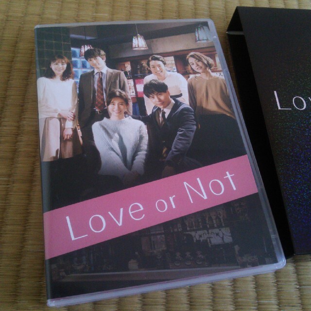 「Love or Not」 DVD-BOX