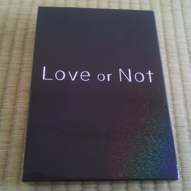 「Love or Not」 DVD-BOX